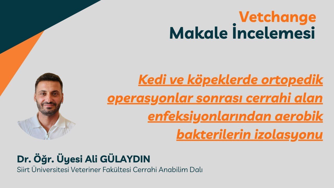 “Vetchange Makale İncelemesi “Dr. Öğr. Üyesi Ali Gülaydın #vetchange #veterinarymedicine